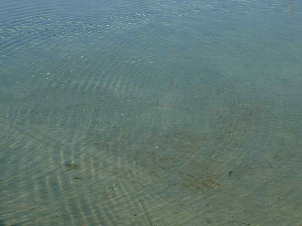 Wasserspiegel_II_38kb_P1150361